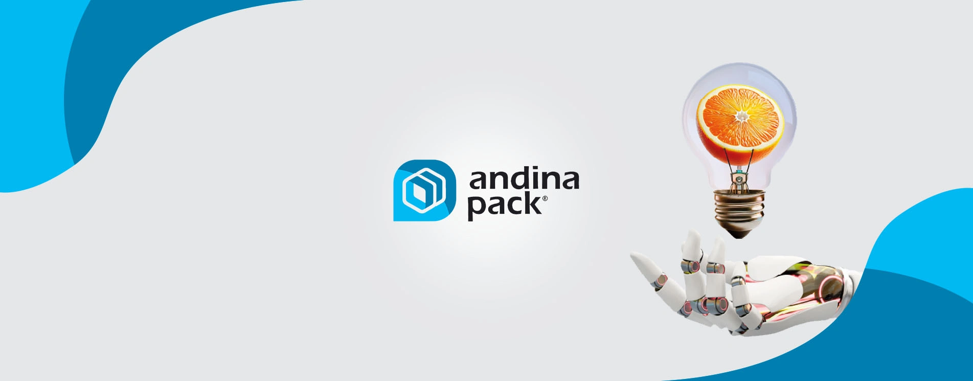 ANDINA PACK